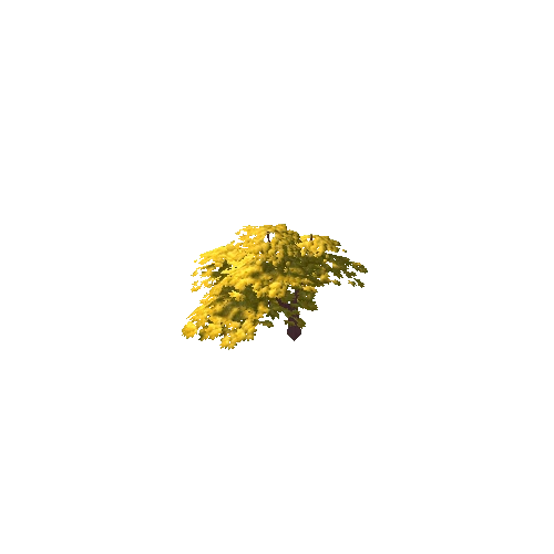 Small Tree Yellow Default 12